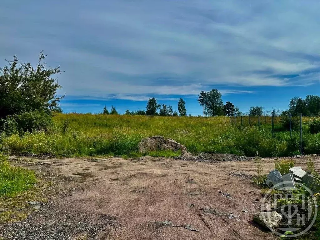 Участок в Ленинградская область, Всеволожский район, Колтушское ... - Фото 2