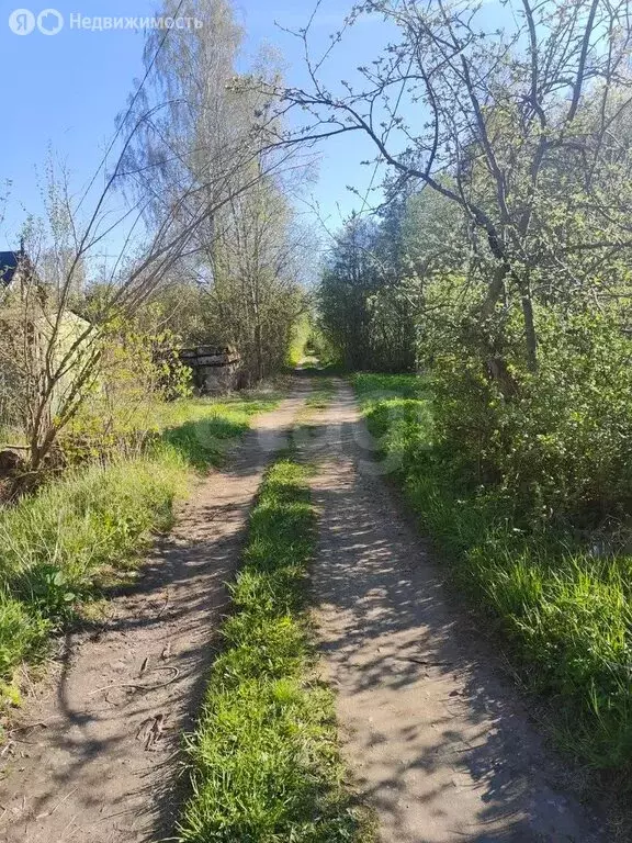 Участок в Кировский район, Синявинское городское поселение, ... - Фото 2