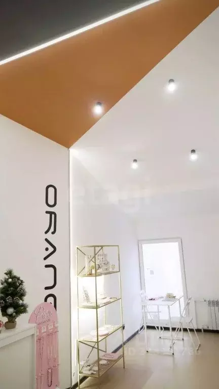 Офис в Татарстан, Казань ул. Мусина, 29Д (18 м) - Фото 1