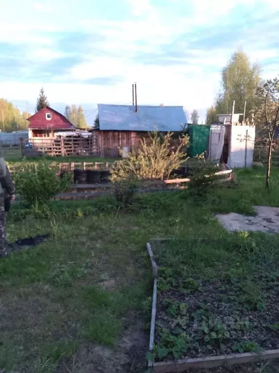 Участок в Нижегородская область, Дзержинск Лесное садовое ... - Фото 0