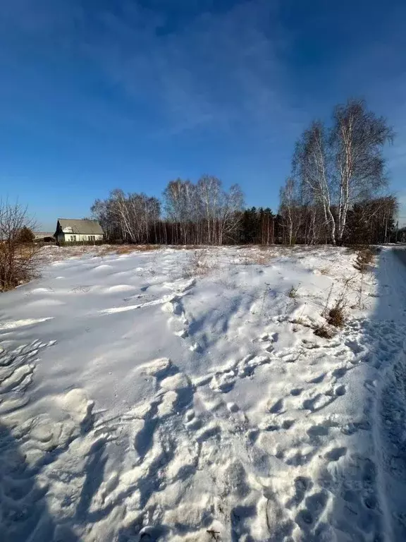 Участок в Иркутская область, Иркутский муниципальный округ, д. ... - Фото 0