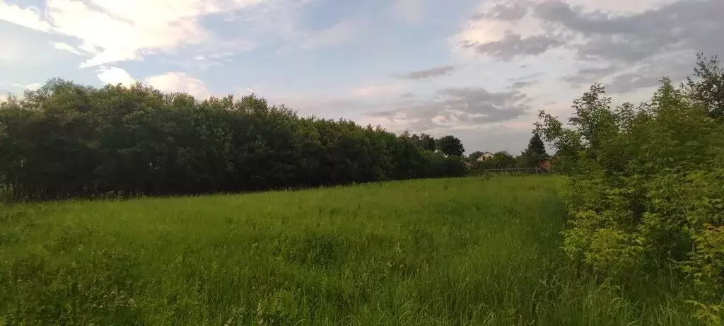 Участок в Московская область, городской округ Коломна, село Черкизово ... - Фото 1