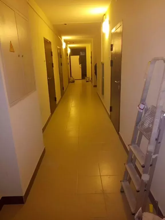 Студия Ленинградская область, Мурино Всеволожский район, бул. ... - Фото 0