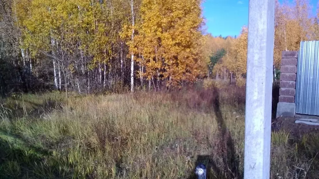 Участок в Нижегородская область, Бор городской округ, д. Рябинки 66 ... - Фото 1