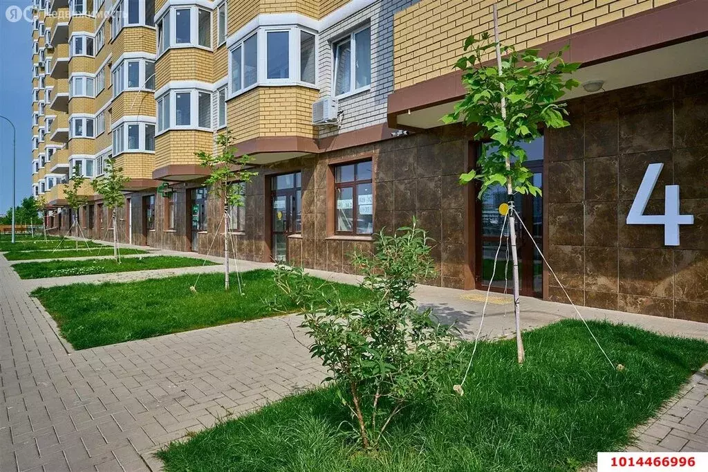 Квартира-студия: Краснодар, улица Красных Партизан, 1/4к16 (16.7 м) - Фото 1