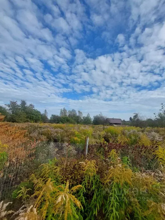 Участок в Псковская область, Псковский район, Тямшанская волость, д. ... - Фото 1
