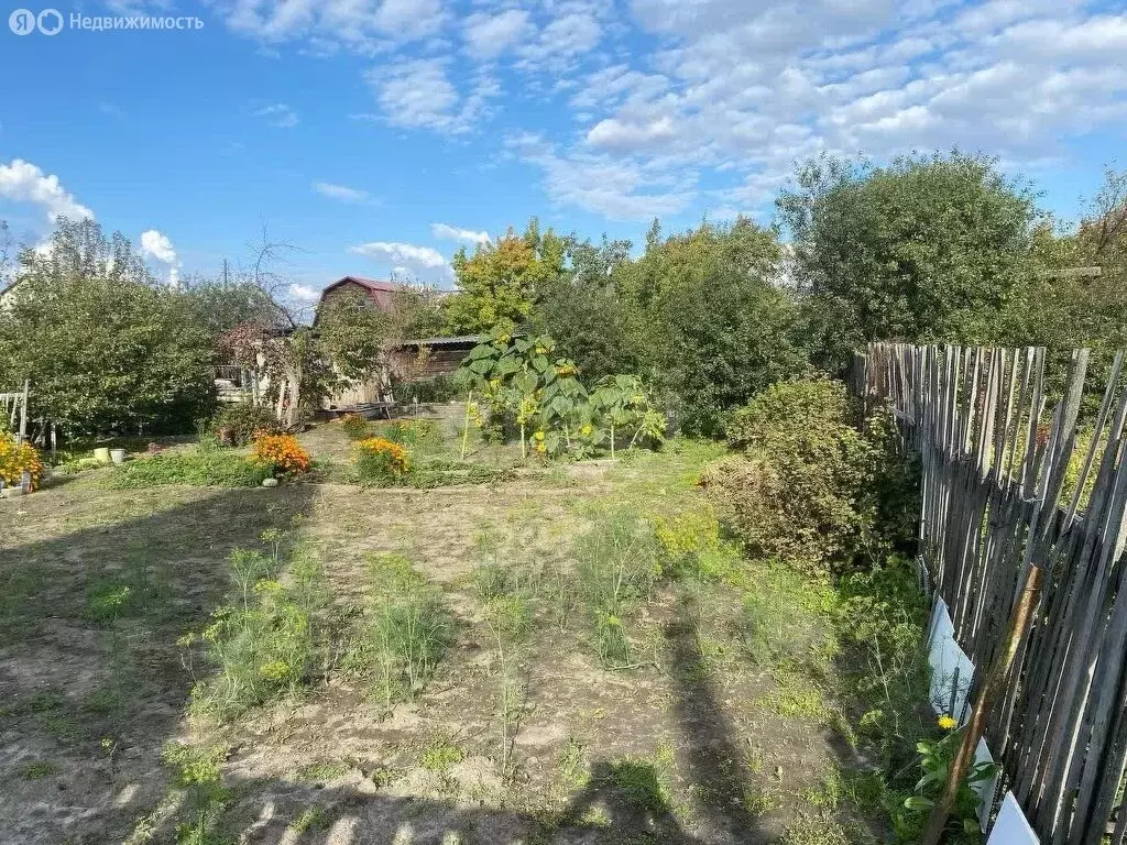 Участок в Курган, СНТ Тюльпан (5 м) - Фото 2