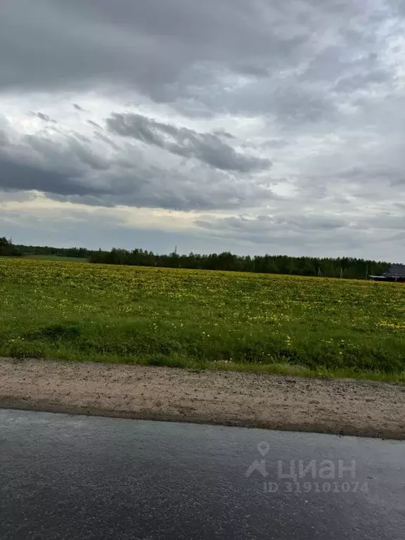 Участок в Тверская область, Калининский муниципальный округ, д. ... - Фото 0