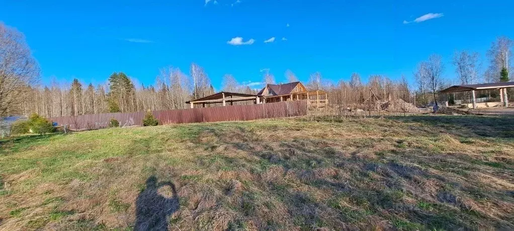 Участок в Ленинградская область, Выборгский район, Каменногорское ... - Фото 1