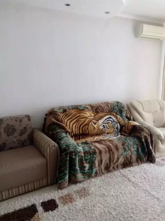 Дом в Крым, Алушта муниципальный округ, Партенит пгт  (56 м) - Фото 2