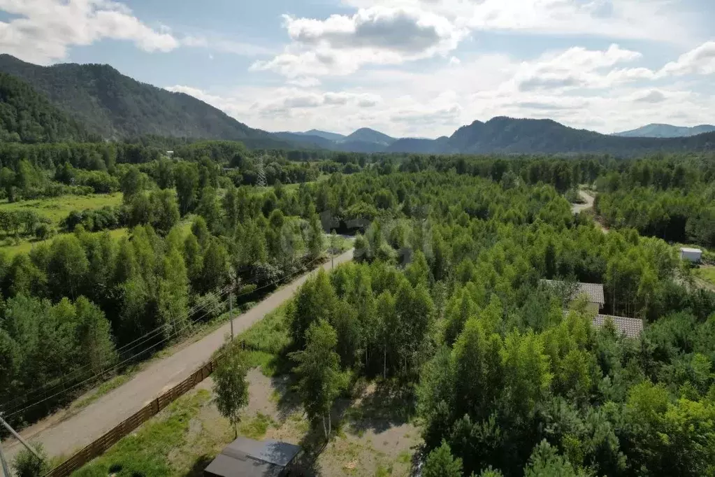 Участок в Алтай, Майминский район, Соузгинское с/пос, пос. Черемшанка ... - Фото 1