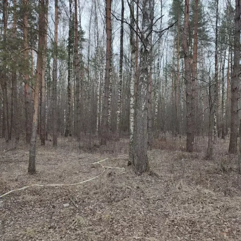 Участок в Московская область, Павловский Посад  (10.0 сот.) - Фото 0