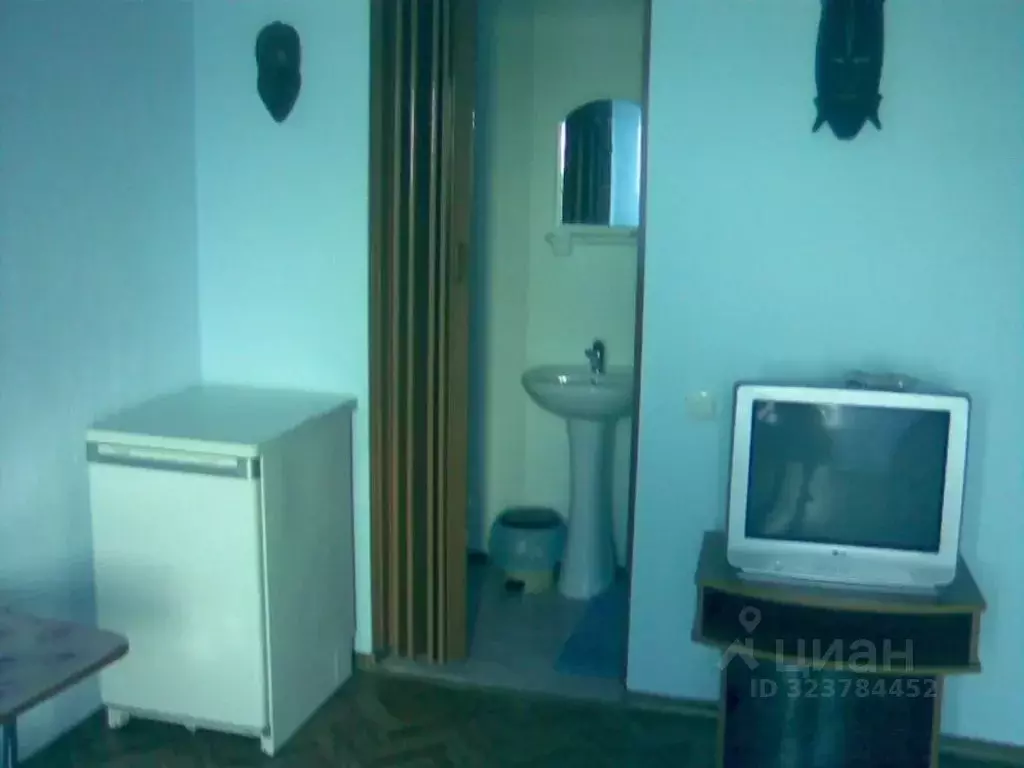 1-к кв. Крым, Феодосия муниципальный округ, Коктебель пгт ул. ... - Фото 2