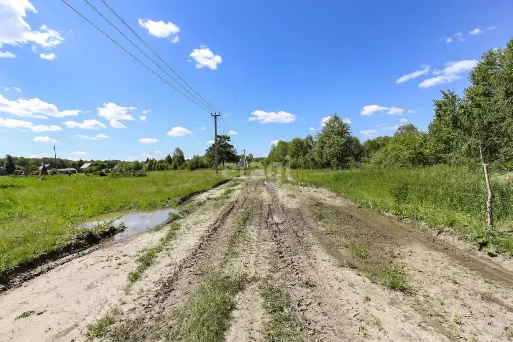 Участок в Тюменская область, Нижнетавдинский район, д. Московка  (11.7 ... - Фото 1