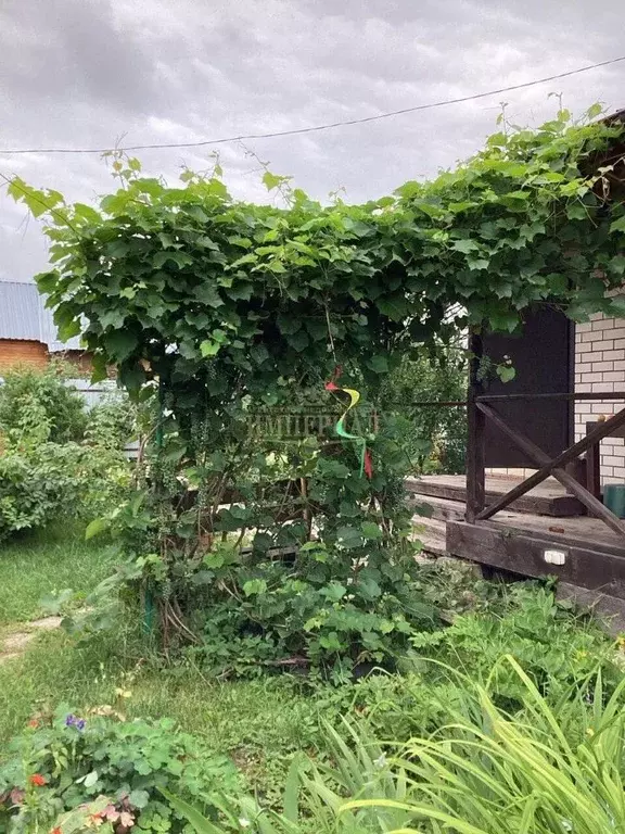 Дом в Марий Эл, Йошкар-Ола Коммунальник СНТ, 19-я линия (65 м) - Фото 1