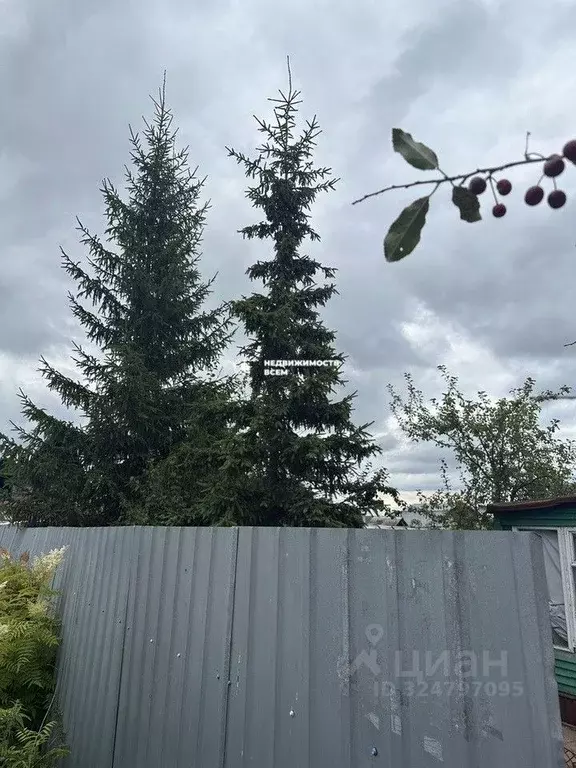 Дом в Челябинская область, Сосновский муниципальный округ, Полет-3 СНТ ... - Фото 2