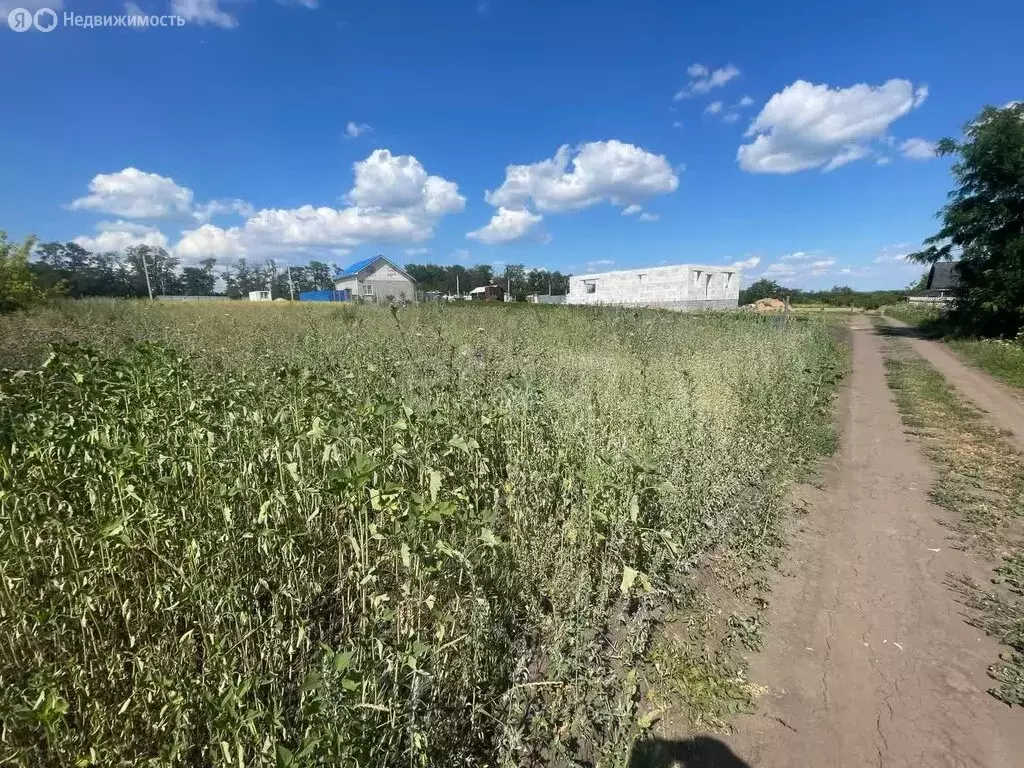 Участок в Разумное, СТ Вишенка, массив № 5 (8 м) - Фото 0