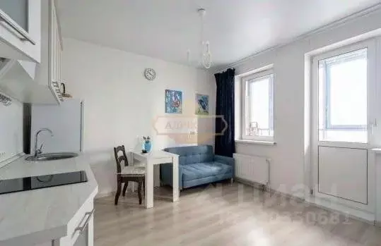 Студия Санкт-Петербург Парашютная ул., 42к1 (27.0 м) - Фото 1