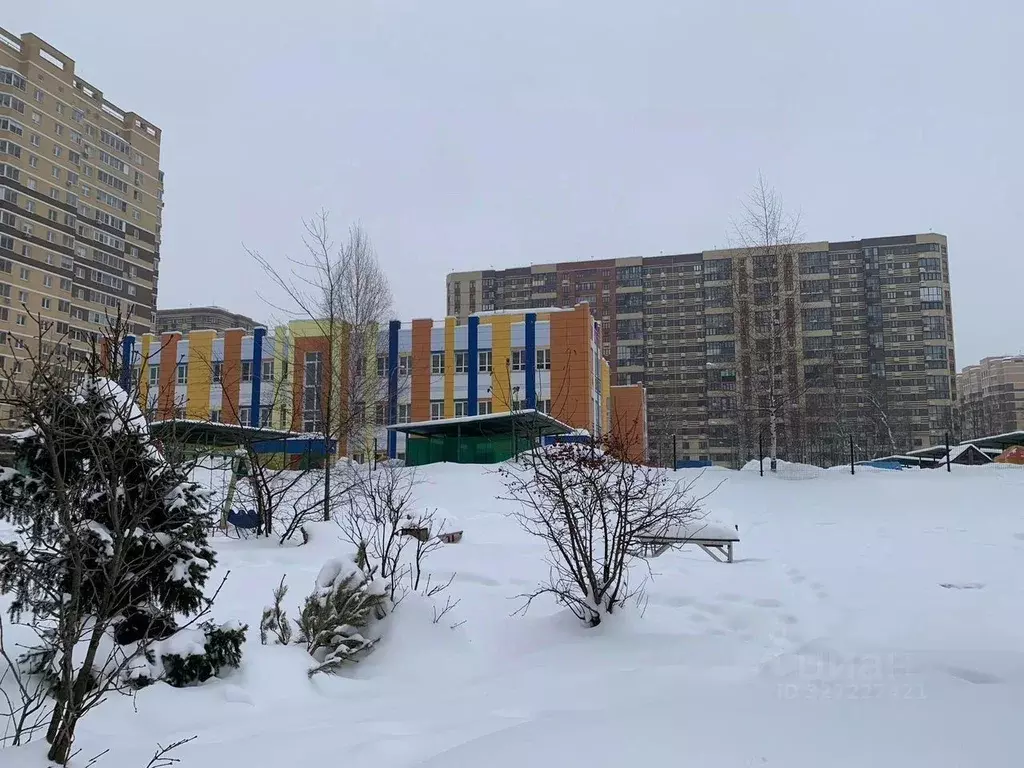 1-к кв. Московская область, Пушкино ул. Просвещения, 9 (29.0 м) - Фото 2