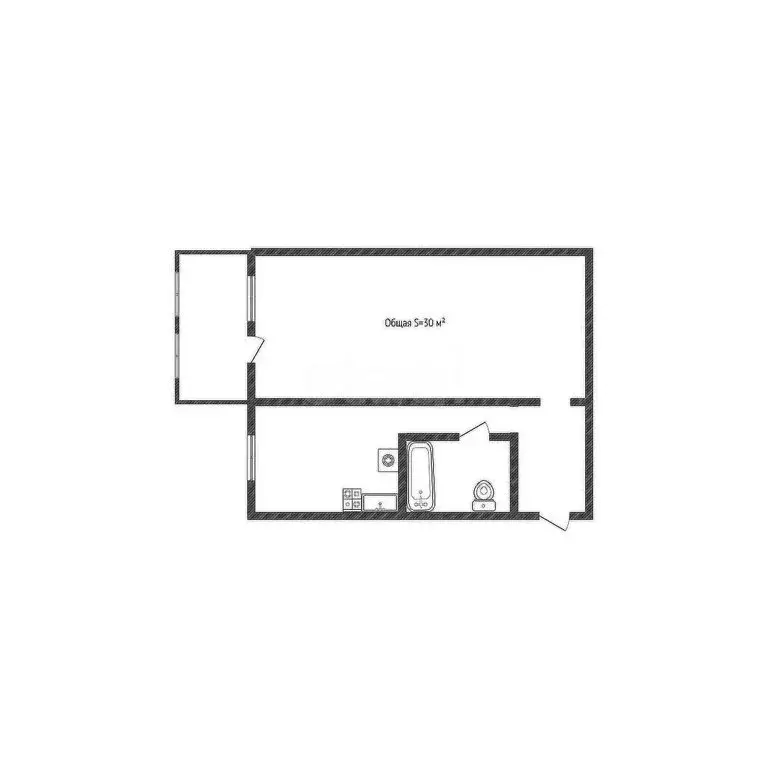 1-комнатная квартира: Бийск, улица Революции, 99 (30 м) - Фото 1