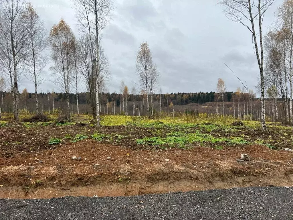 Участок в Московская область, городской округ Клин, коттеджный посёлок ... - Фото 1