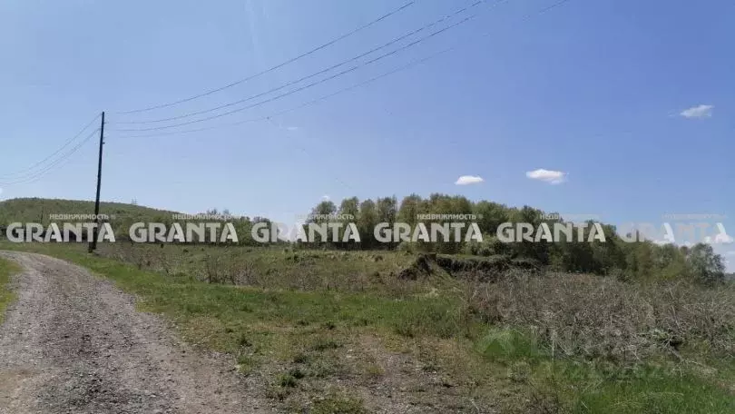 Участок в Красноярский край, Сосновоборский муниципальный округ, д. ... - Фото 1