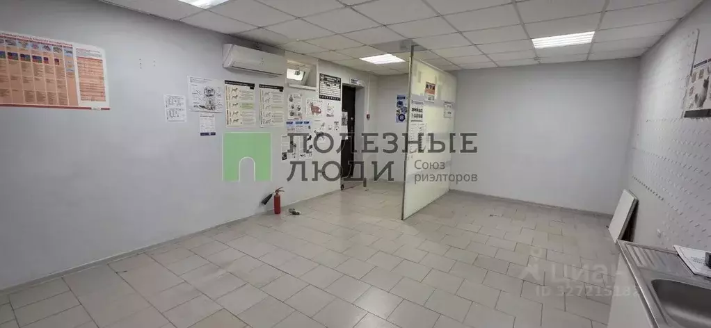 Помещение свободного назначения в Краснодарский край, Геленджик ул. ... - Фото 1