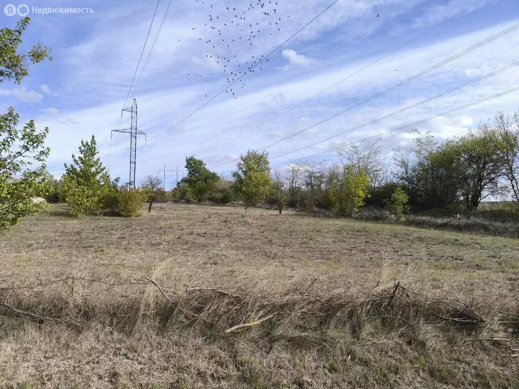 Участок в Симферопольский район, Перовское сельское поселение, село ... - Фото 2
