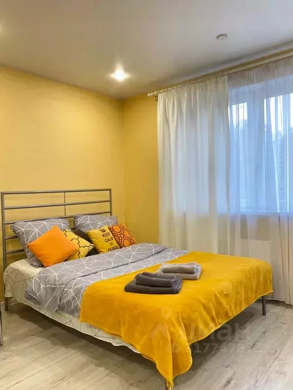 Студия Санкт-Петербург просп. Королева, 62 (25.0 м) - Фото 0