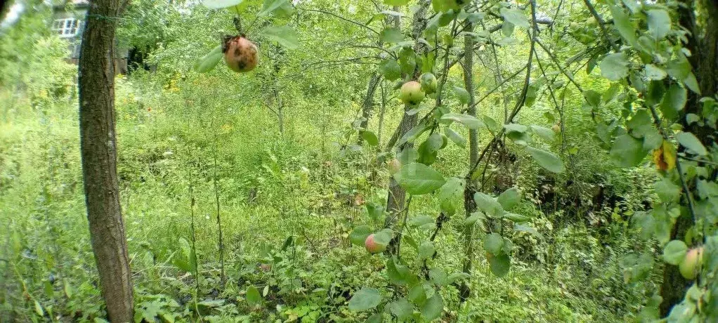 Участок в Нижегородская область, Нижний Новгород Маяк садовое ... - Фото 0