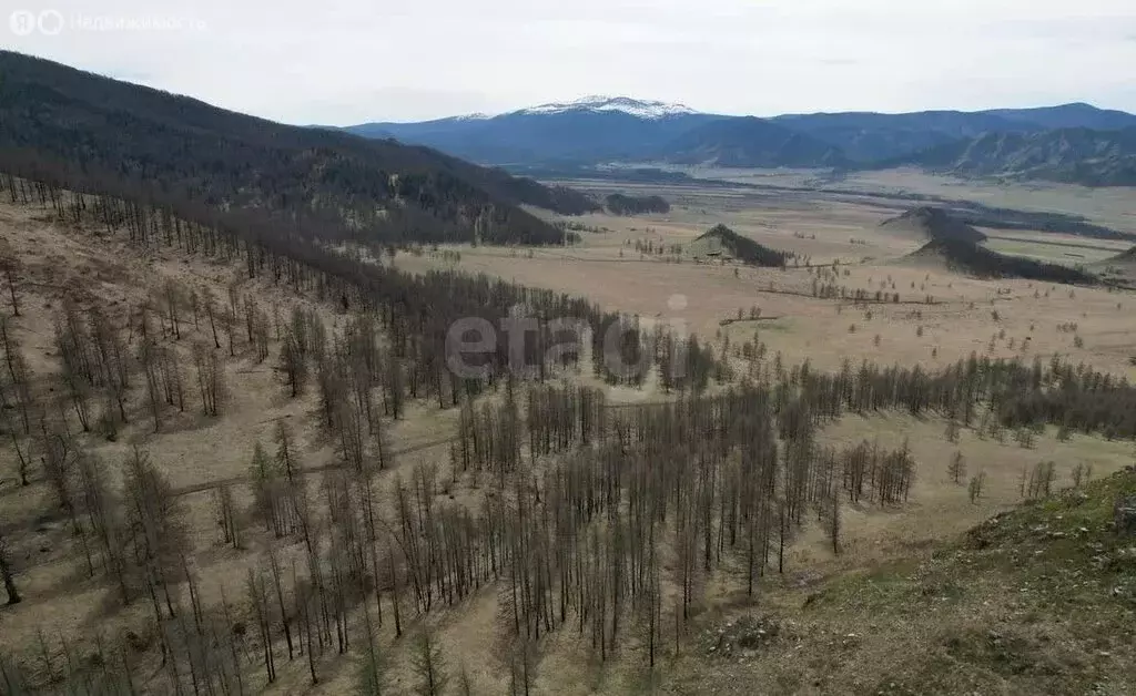Участок в Онгудайский район, село Ело (111.24 м) - Фото 1