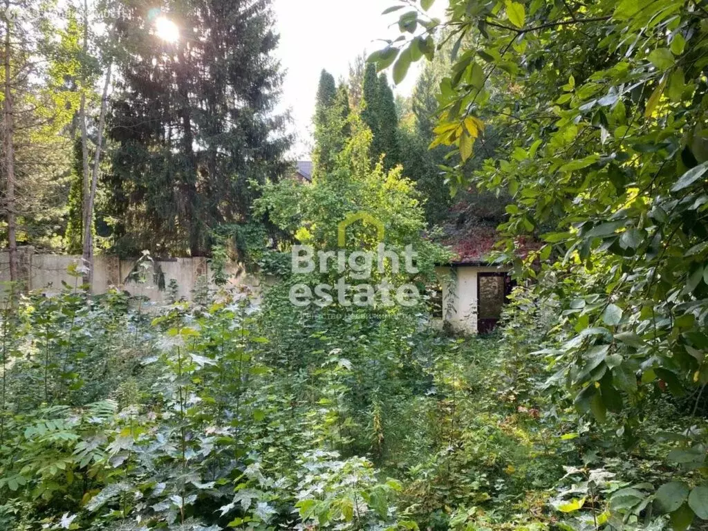 Участок в Одинцовский городской округ, деревня Жуковка (15 м) - Фото 2