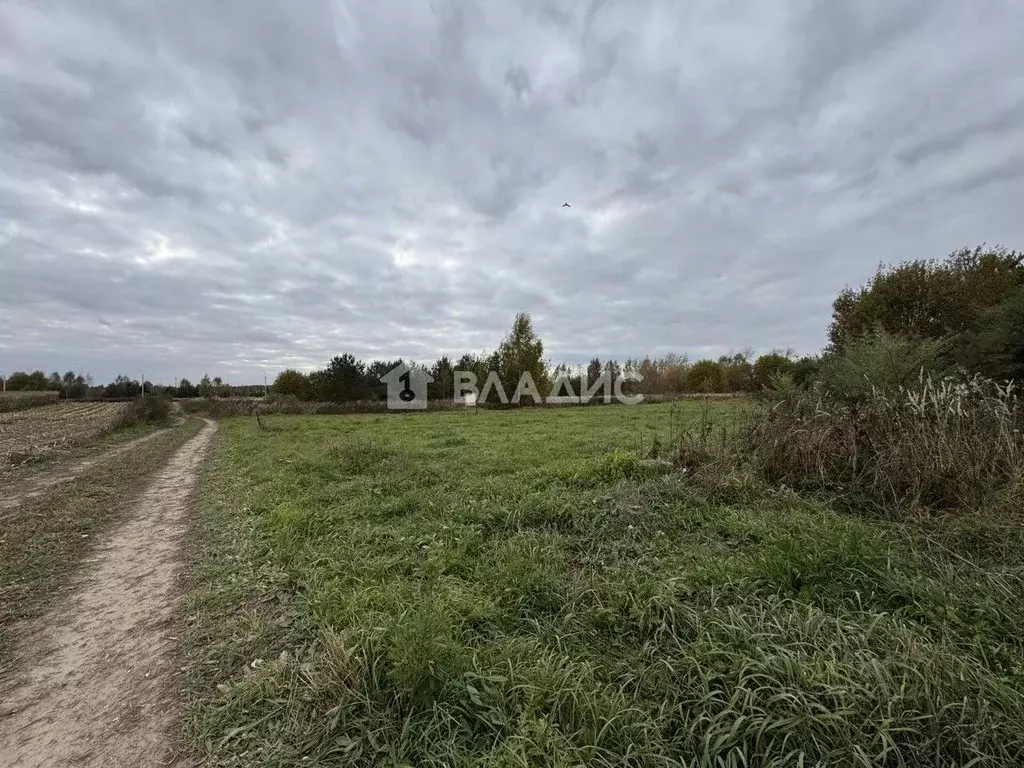 Участок в Владимирская область, Ковровский район, Ивановское с/пос, с. ... - Фото 1