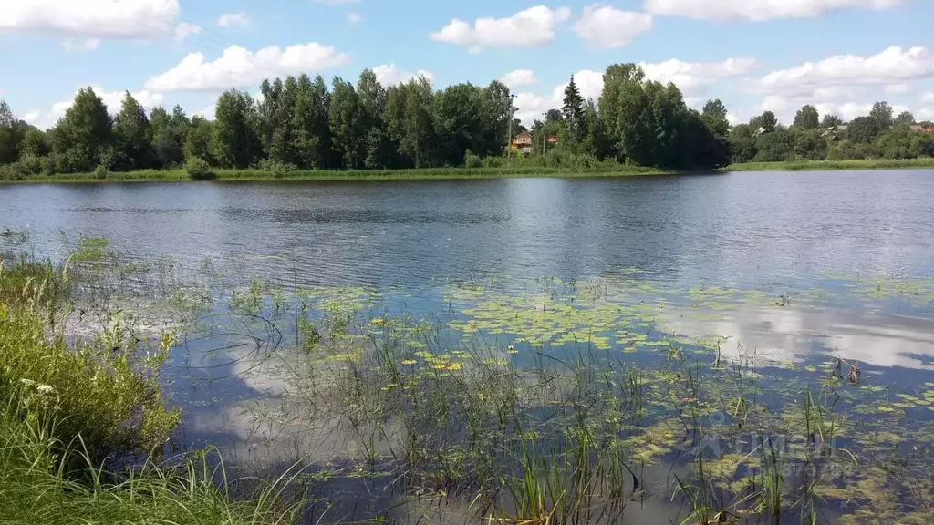 Участок в Ярославская область, Мышкинский муниципальный округ, ... - Фото 0