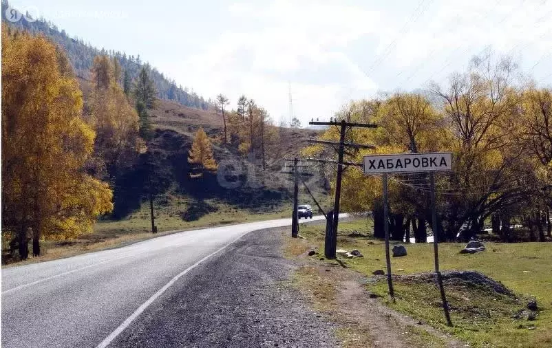 Участок в Онгудайский район, село Хабаровка (216 м) - Фото 0