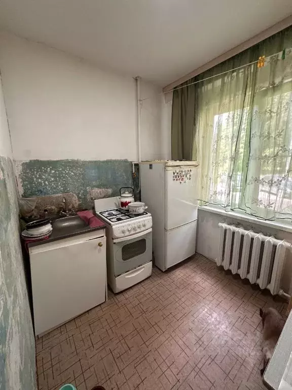 1-к кв. Московская область, Воскресенск ул. Ломоносова, 98 (32.0 м) - Фото 1