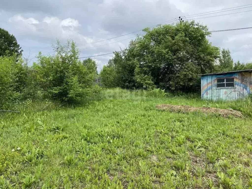 Участок в Тюменская область, Тобольск Здоровье садовое товарищество, ... - Фото 1