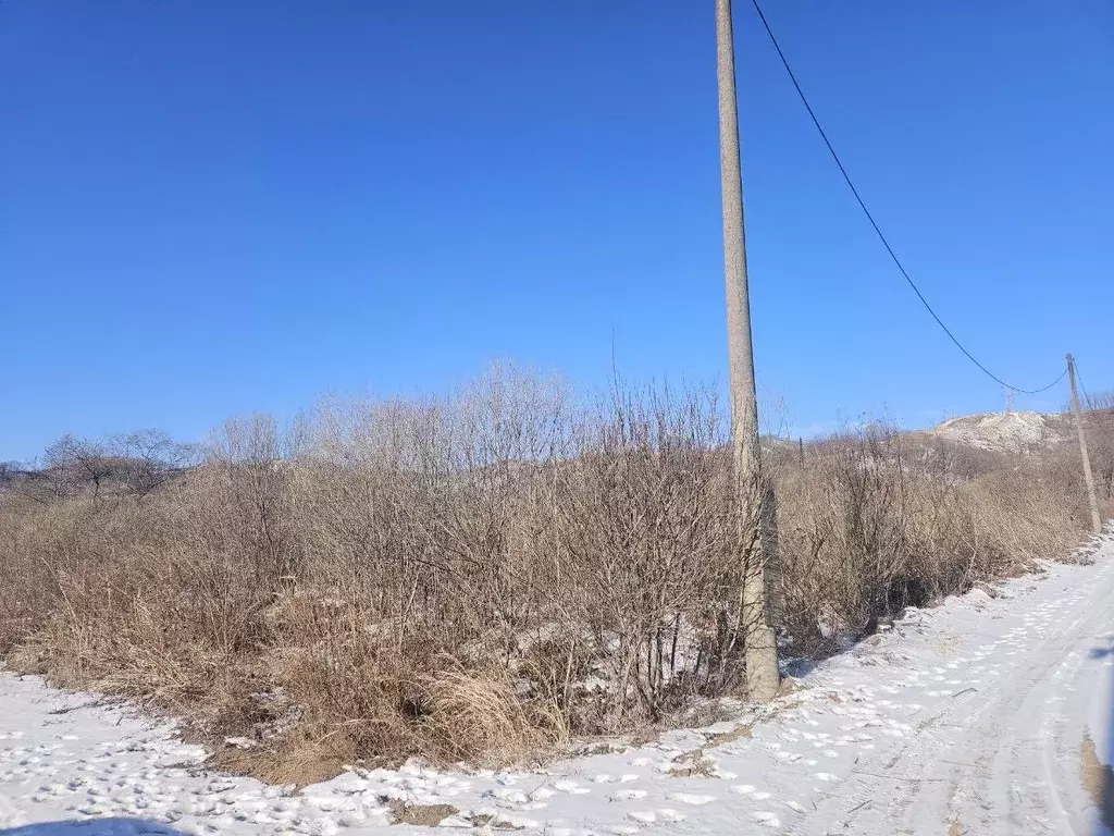 Участок в Приморский край, Партизанский муниципальный округ, с. ... - Фото 0