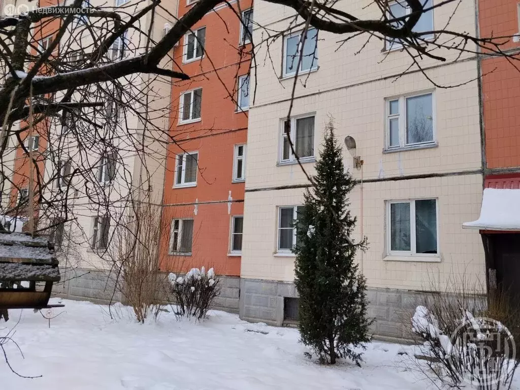 3-комнатная квартира: посёлок Шушары, Пушкинская улица, 20 (71.4 м) - Фото 2