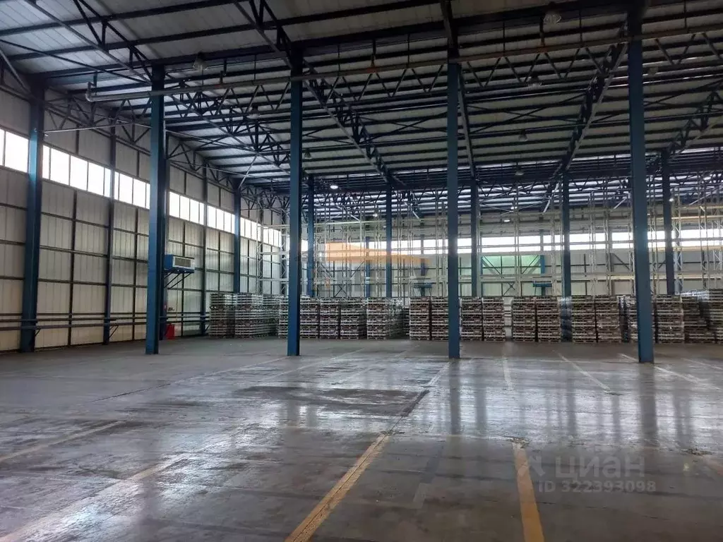 Склад в Московская область, Рузский муниципальный округ, д. Шелковка ... - Фото 1