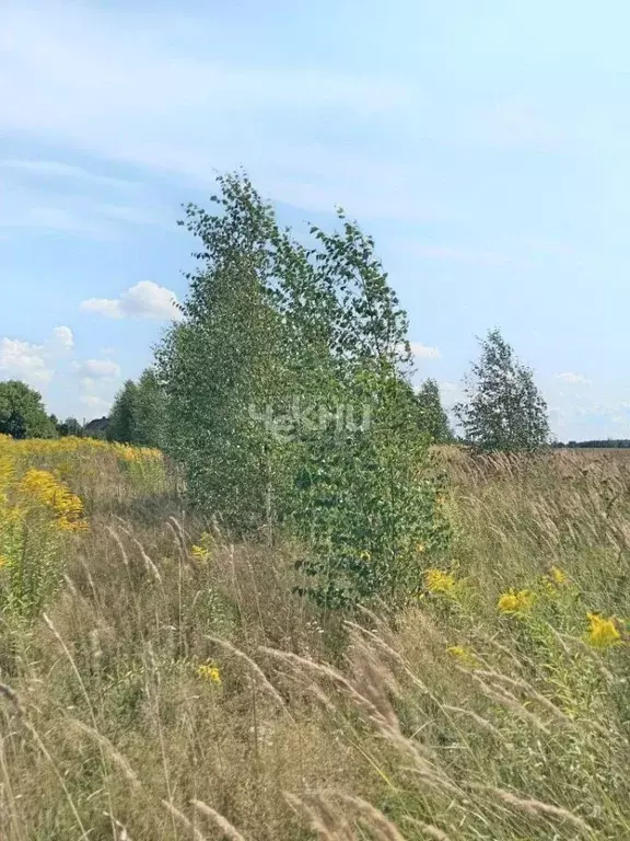 Участок в Нижегородская область, Городецкий муниципальный округ, д. ... - Фото 0