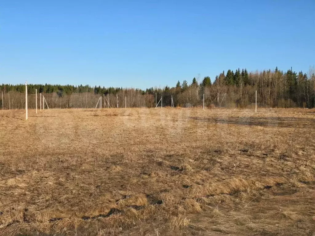 Участок 11,1 сот. (ИЖС) - Фото 0