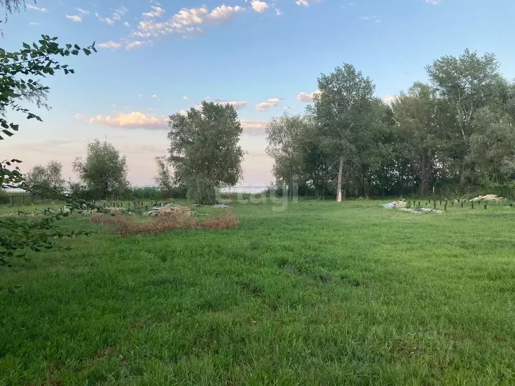 Участок в Саратовская область, с. Пудовкино  (20.0 сот.) - Фото 1