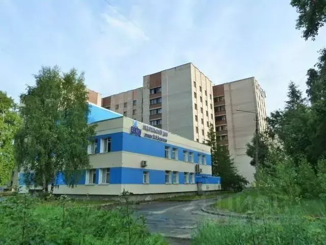 Студия Архангельская область, Архангельск ул. Урицкого, 56 (25.0 м) - Фото 1