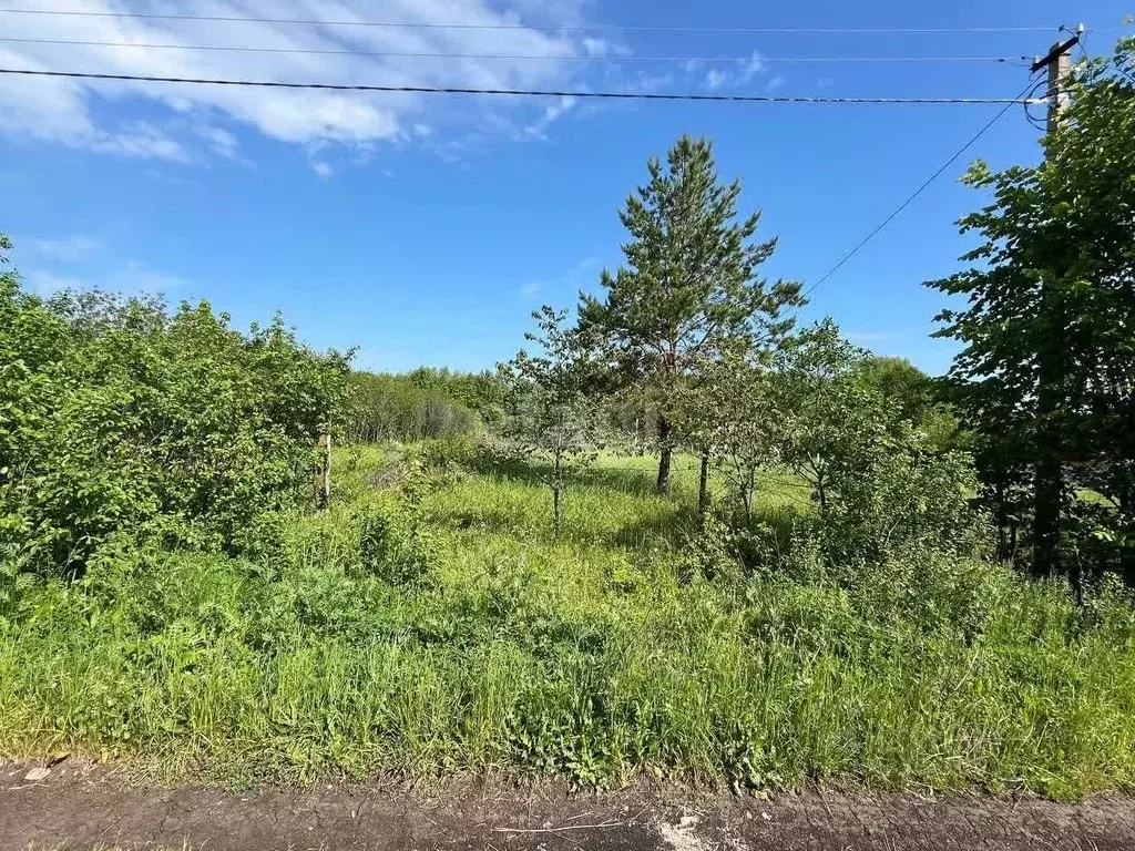 Участок в Башкортостан, Иглинский район, Акбердинский сельсовет, Гея ... - Фото 2