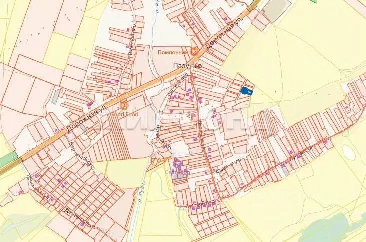 Участок в Брянская область, Выгоничский район, Кокинское с/пос, с. ... - Фото 1