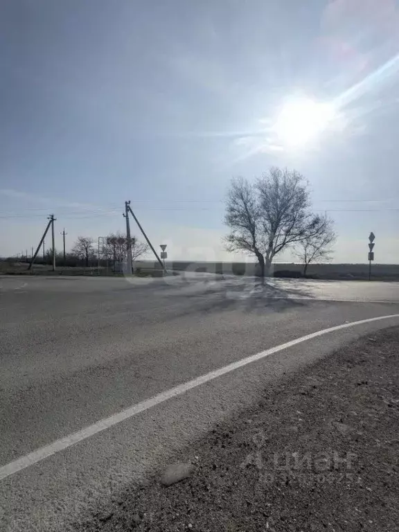 Участок в Крым, Черноморский район, Окуневское с/пос, с. Знаменское  ... - Фото 1