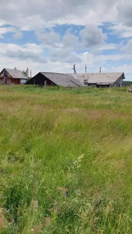 Участок в Свердловская область, Белоярский муниципальный округ, с. ... - Фото 1