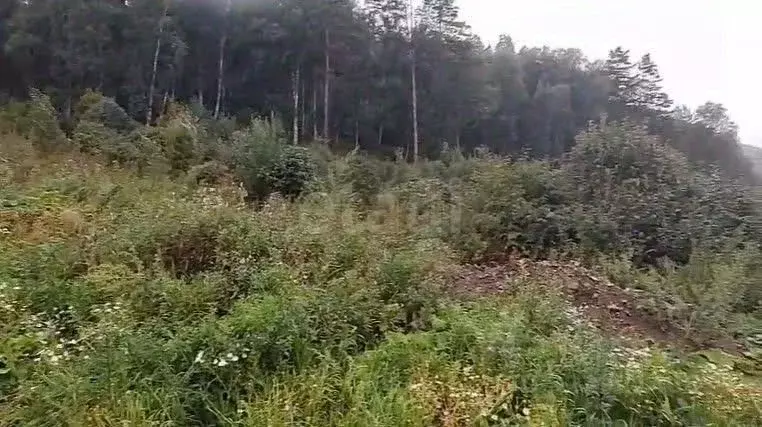 Участок в Алтай, Майминский район, Манжерокское с/пос, с. Озерное ул. ... - Фото 1