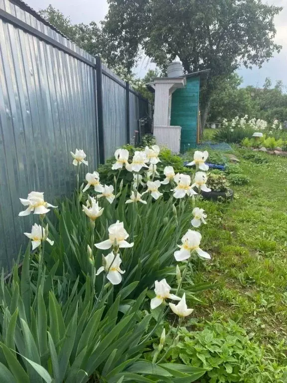 Участок в Нижегородская область, Нижний Новгород д. Новопокровское, ... - Фото 2